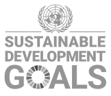 sdg logo