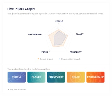 5 Pillar Graph