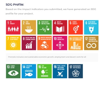 SDG Profile